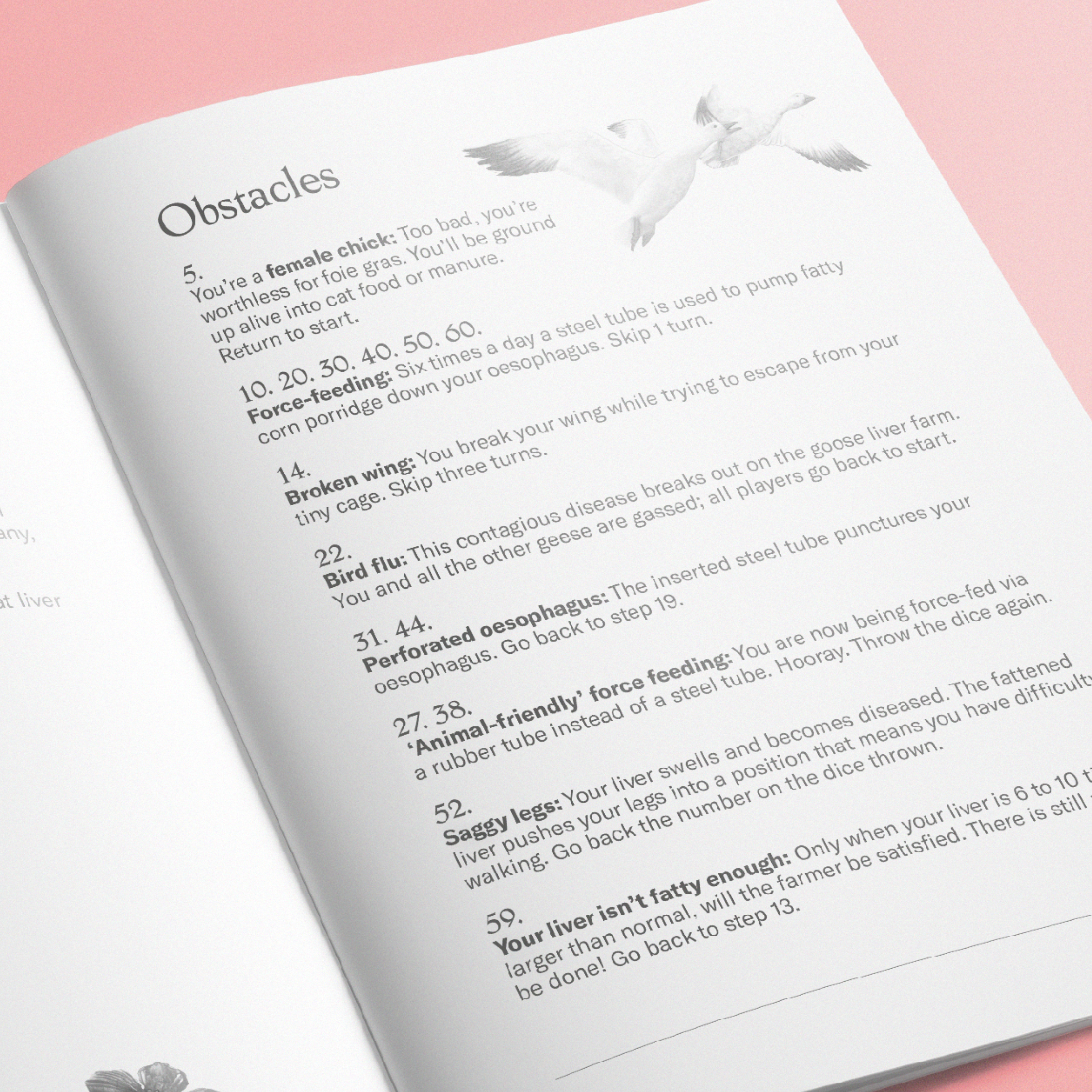 Charlotte Verweij Portfolio