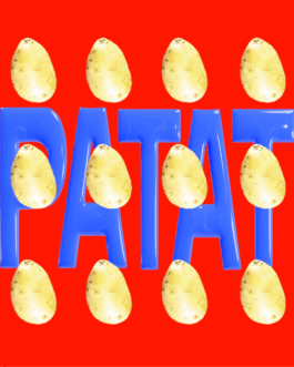 Charlotte Verweij Portfolio