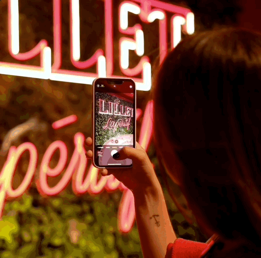 Charlotte Verweij Portfolio