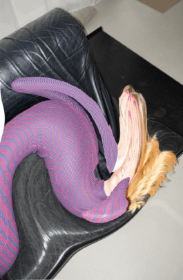 Charlotte Verweij Portfolio