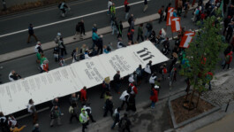 Charlotte Verweij Portfolio